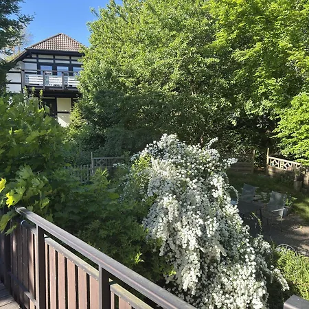 Apartment In Sehr Tierfreundlich