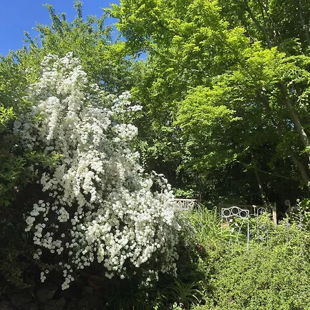 Apartment In Sehr Tierfreundlich
