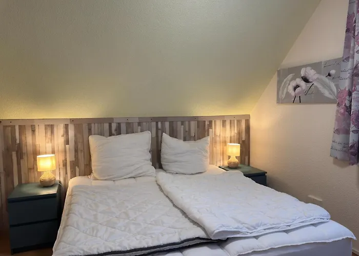 In Sehr Tierfreundlich *