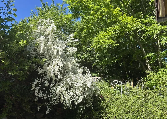 Διαμέρισμα In Sehr Tierfreundlich